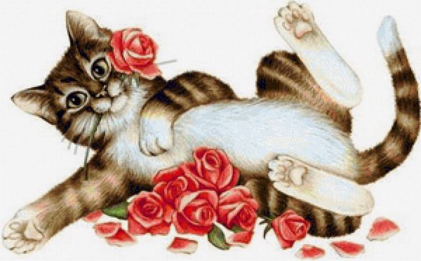 Анимированный кот на прозрачном фоне