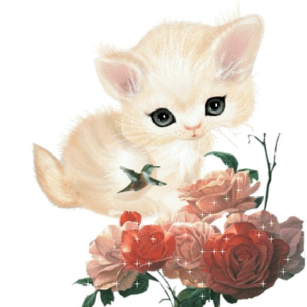 Анимированные Стикеры цветы