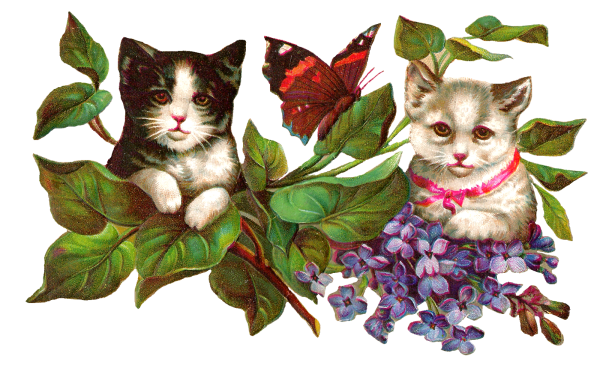 Кот с цветами на прозрачном фоне