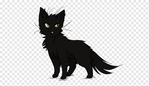 Коты Воители чёрный котёнок