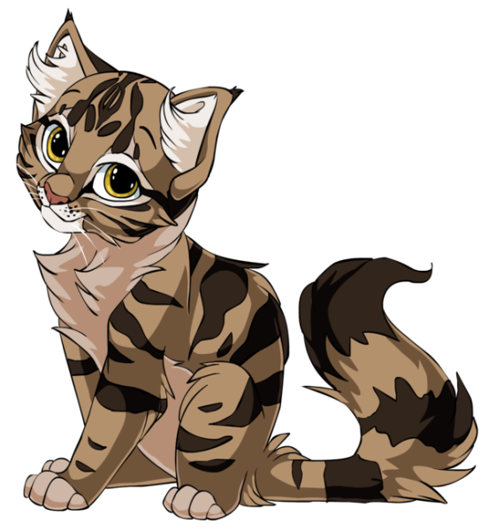 Коты Воители полосатый кот