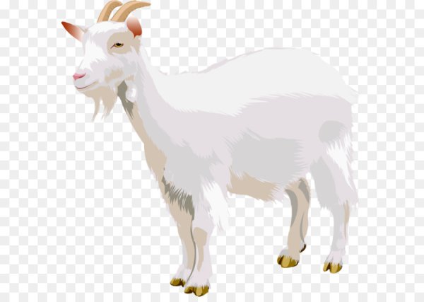 Козел на белом фоне