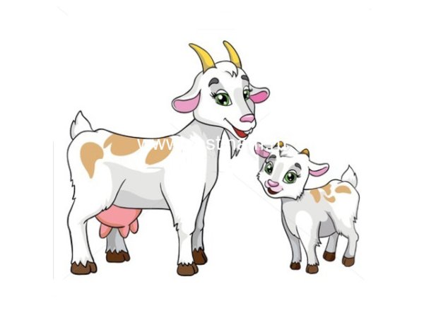 Коза с козленком на белом фоне