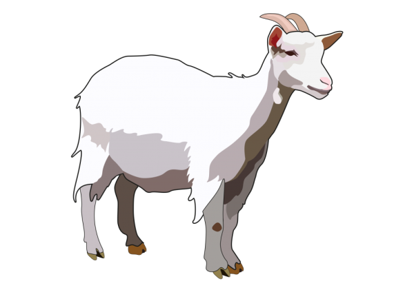 Мультяшные козы