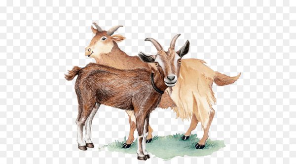 Коза для детей