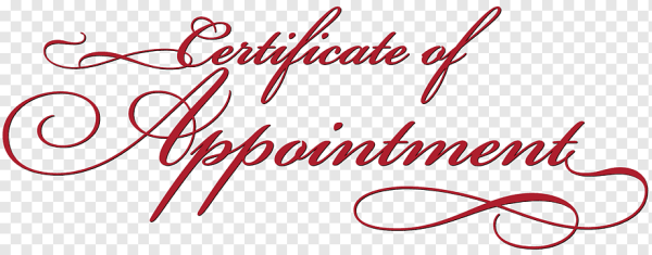 Красивая надпись подарочный сертификат