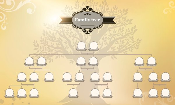 Красивые элементы для родословной