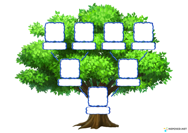 Генеологичне Древо семьи