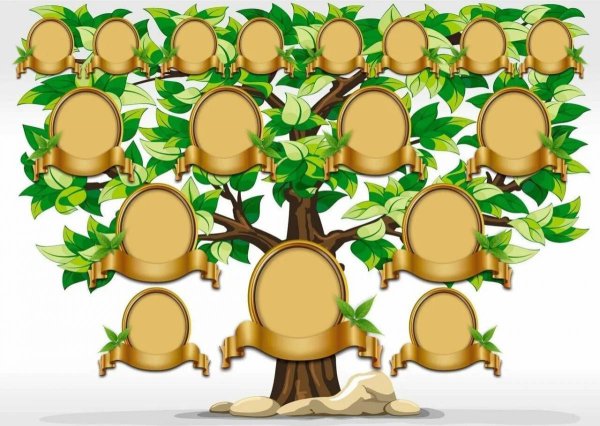 Красивое дерево для родословной