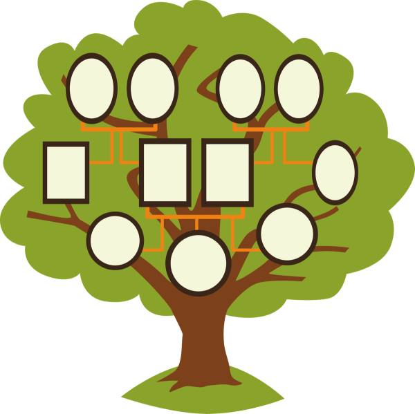 Дерево родословной Family Tree