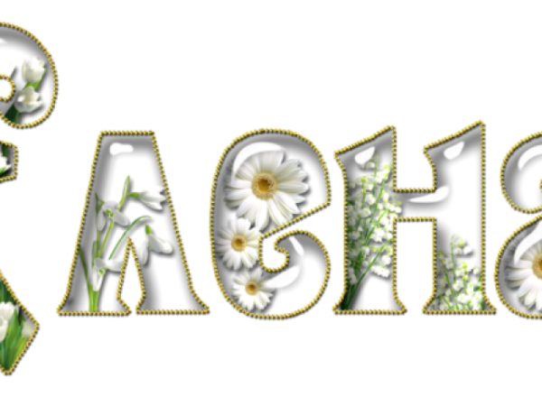 Елена на прозрачном фоне