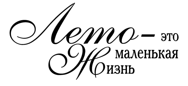 Красивые фразы на прозрачном фоне