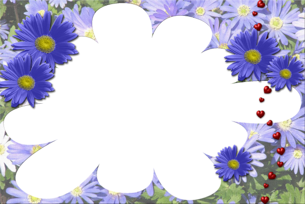 Рамка полевые цветы на прозрачном фоне