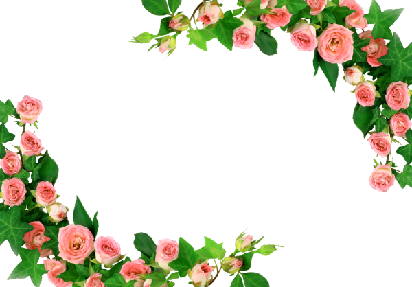 Цветы по краям