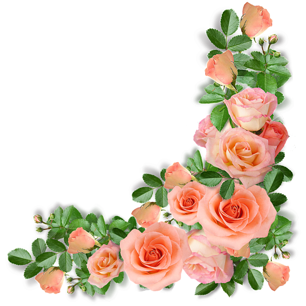 Цветы угловые