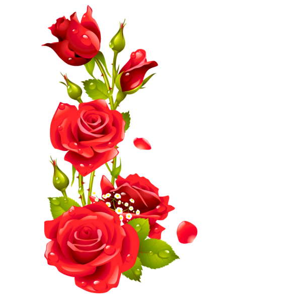 Рамка с розами на прозрачном фоне