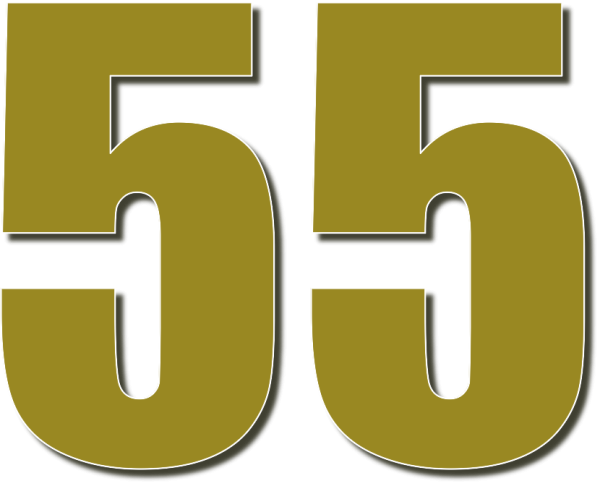 Цифра 55