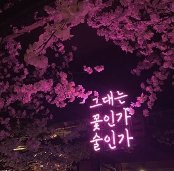 Корейские Неоновые вывески