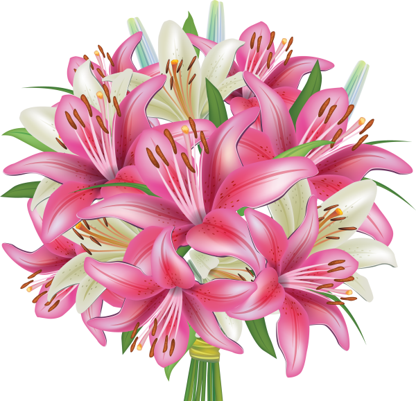 Букет из лилий на прозрачном фоне