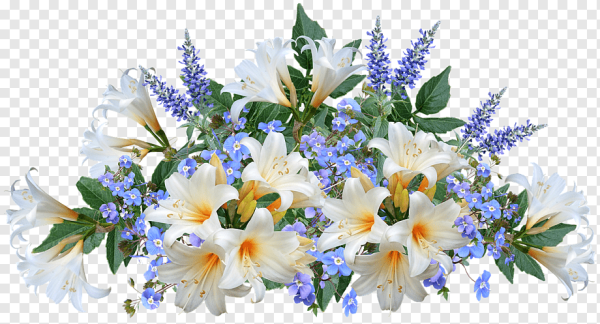 Красивый букет цветов на прозрачном фоне