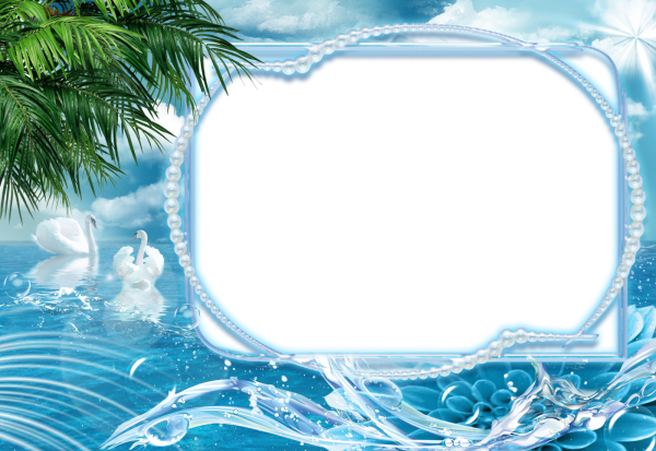 Рамка морская на прозрачном фоне