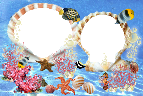 Рамки морские детские