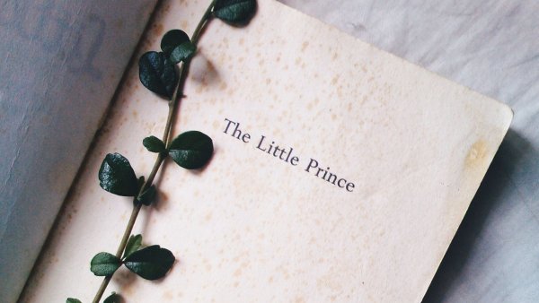 Книги Эстетика