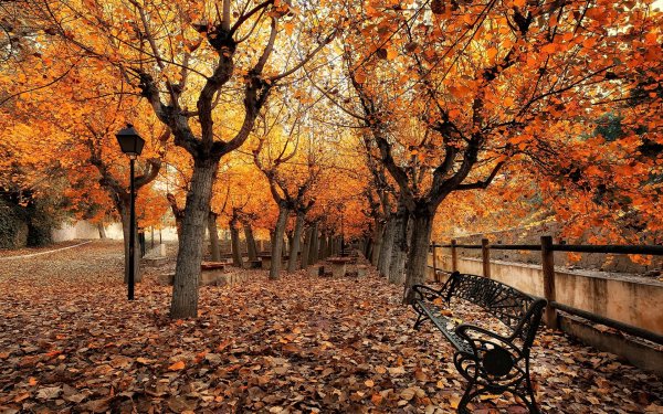 Осень парк