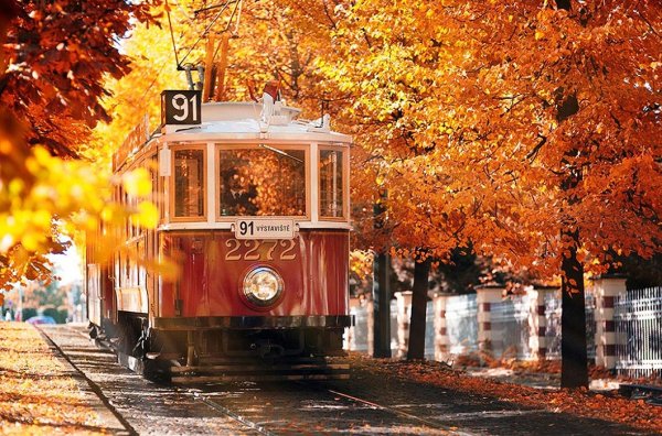 Прага осень трамвай