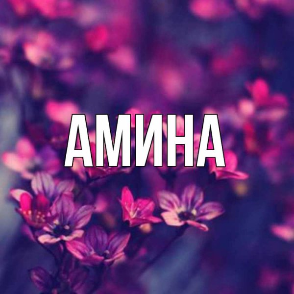 Имя Алина