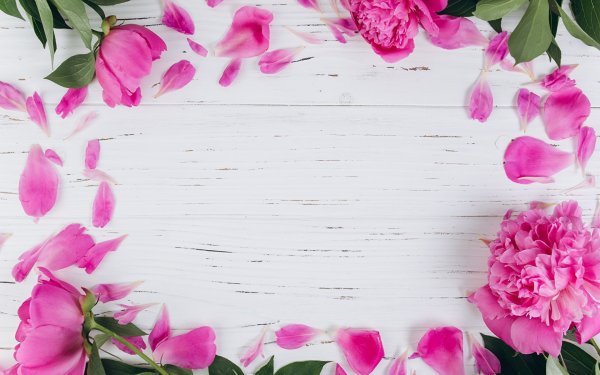 Красивый фон для текста