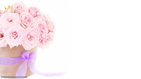 Красивый фон с цветами для поздравления