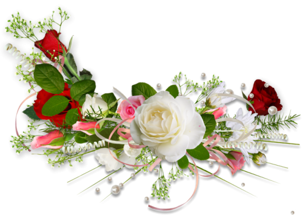 Поздравление клипарт на прозрачном фоне