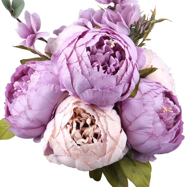 Лавандовые пионы