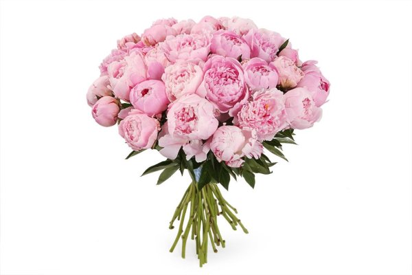 Букет пионы 31шт