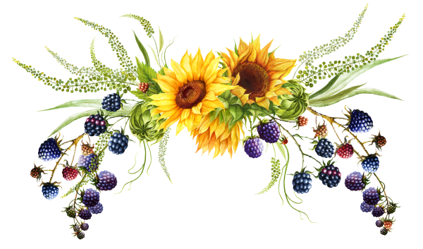 Подсолнух и колоски