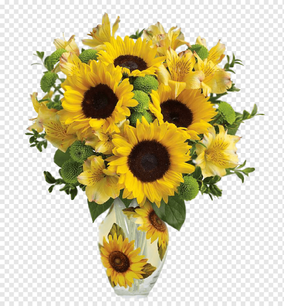 Подсолнух на белом фоне