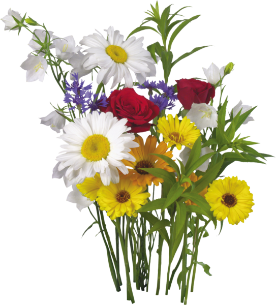 Букет полевых цветов