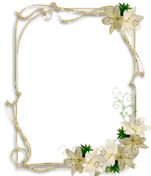 Красивые прозрачные рамки