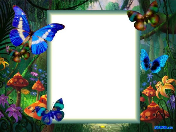 Рамочка с бабочками
