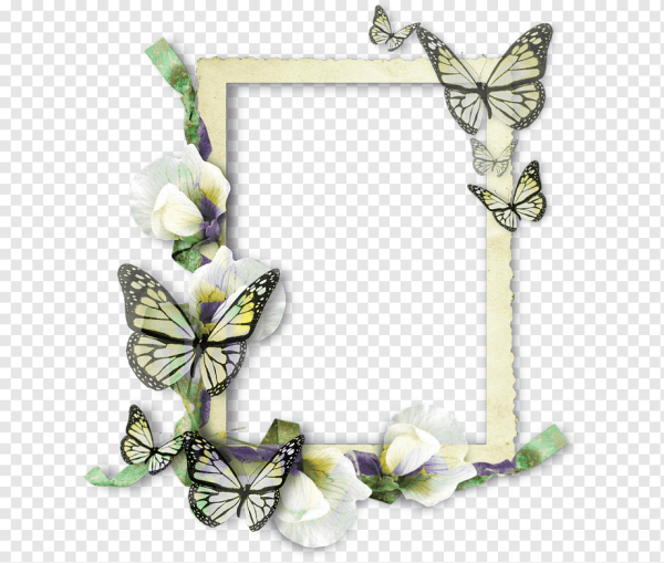 Рамочка из бабочек