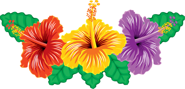 Цветы для украшения цветные