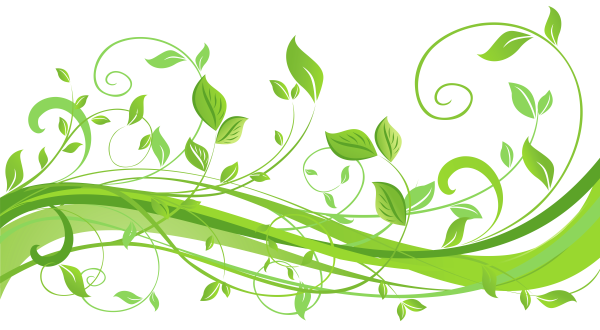 Зеленый орнамент