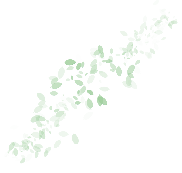 Мелкие листья на белом фоне