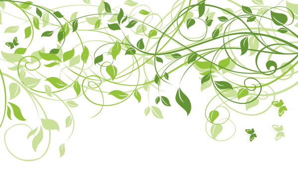 Зеленый узор