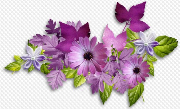 Композиция из цветов на прозрачном фоне
