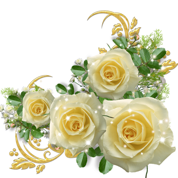 Розы на прозрачном фоне