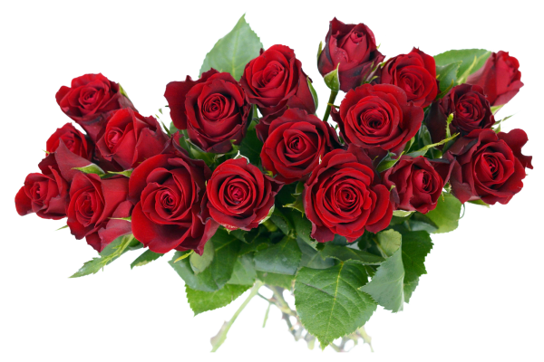 Роза Веддинг дей