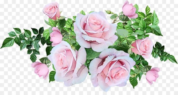 Розы на прозрачном фоне