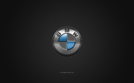 BMW logo Silver